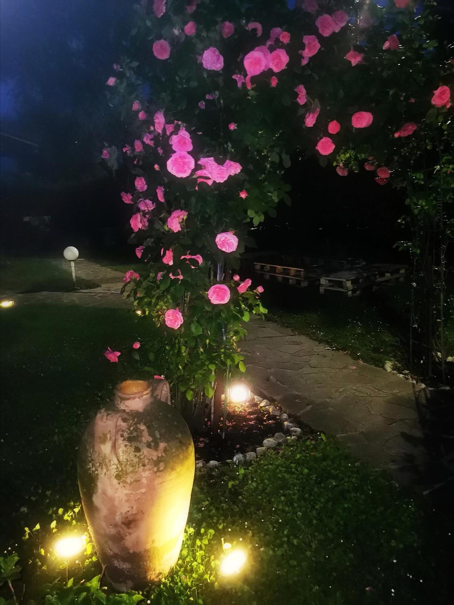 Acquachiara Iseo Deluxe Bed & Breakfast Iseo Center With Garden And Parking Inside Foresteria Quarto foto
